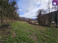 Photo numero 46504209 du bien API423252